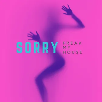 Sorry (Chicks Gone Wild Remix) by Freak My House