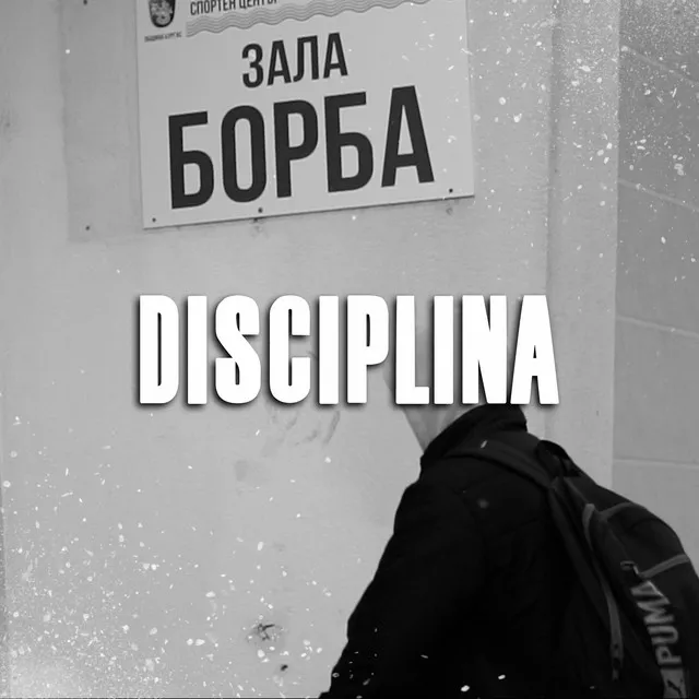 DISCIPLINA