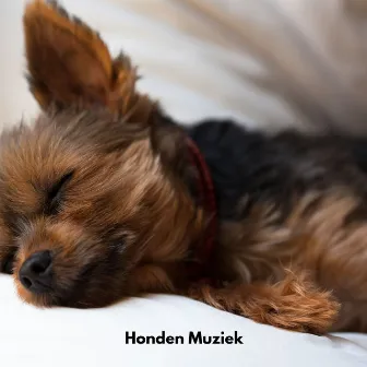 Honden Muziek by Hondenmuziek