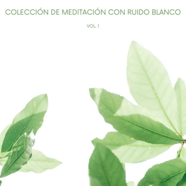 Ruido Blanco II