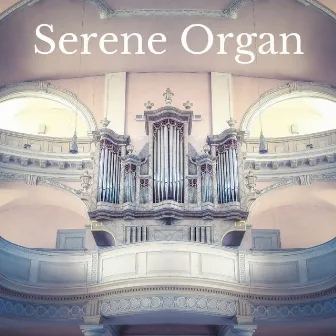 Serene Organ by 