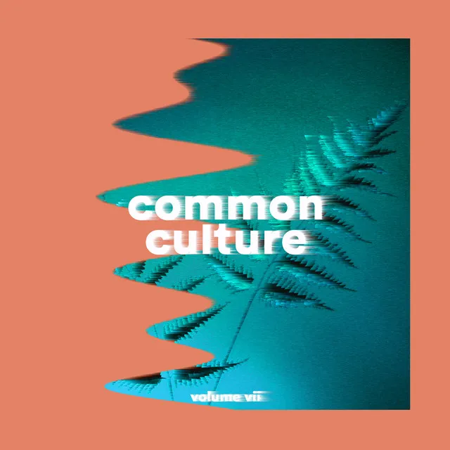 Common Culture, Vol. VII (album Commentary)