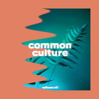 Common Culture, Vol. VII by Connor Franta