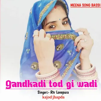 Gandkadi tod gi wadi by Ramkesh nalawas