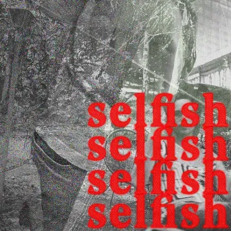 Selfish by Tyde Levi