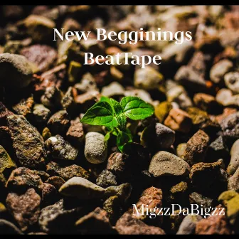 New Beginnings by MigzzDaBigzz