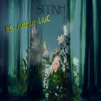 Si Tình by arthur