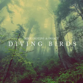 Diving Birds by Infact