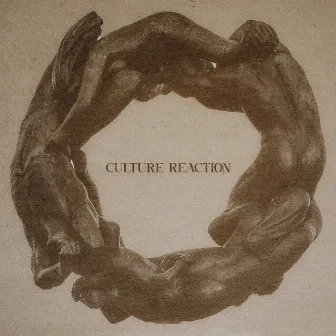 Culture Reaction by Fsauto