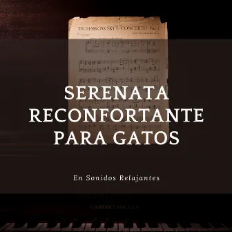 Serenata Reconfortante Para Gatos En Sonidos Relajantes by Bar Salón