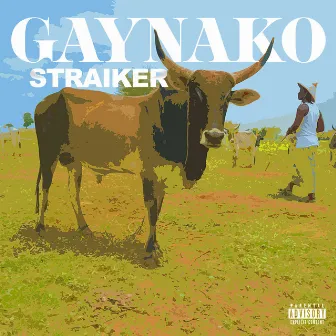 Gaynako by Straiker