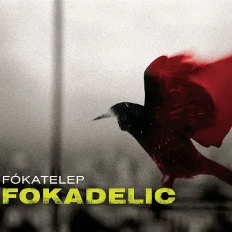 Fokadelic by Fókatelep