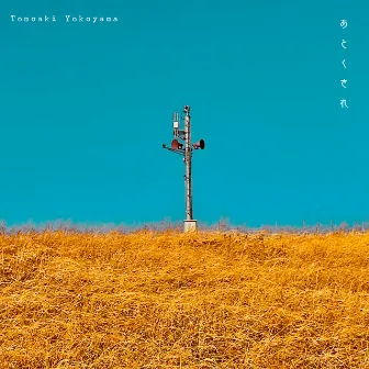 Relic by Tomoaki Yokoyama