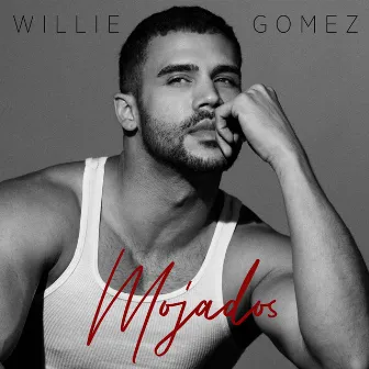 Mojados by Willie Gomez