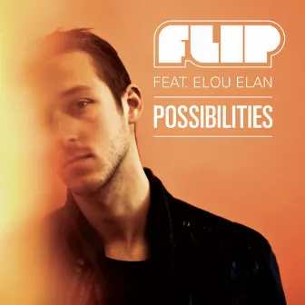 Possibilities by Flip