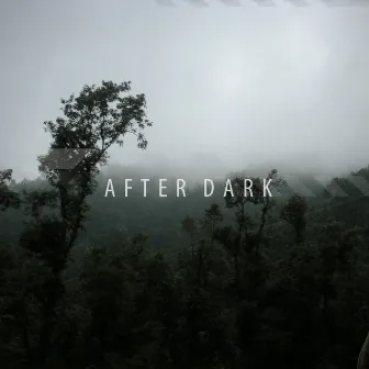 After Dark by Zoom