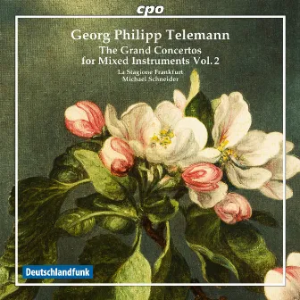 Telemann: The Grand Concertos for Mixed Instruments, Vol. 2 by Michael Schneider