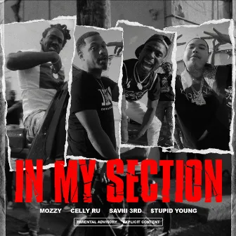 In My Section (feat. Saviii 3rd & $tupid Young) by Celly Ru