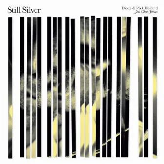 Still Silver by 