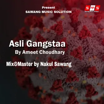 Asli Gangstaraa by Ameet Choudhary