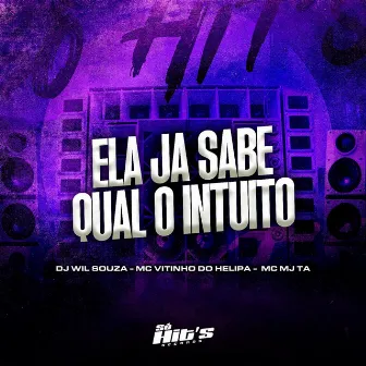 Ela Ja Sabe Qual o Intuito by Dj Wil Souza