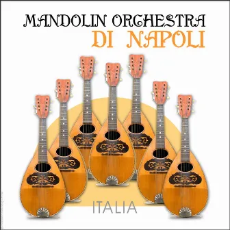 Mandolin Orchestra Di Napoli by Angelo Petisi