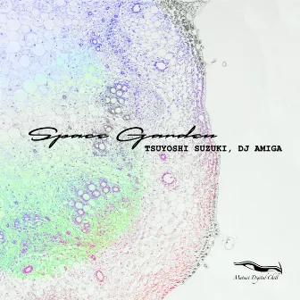 Space Garden by Dj Amiga