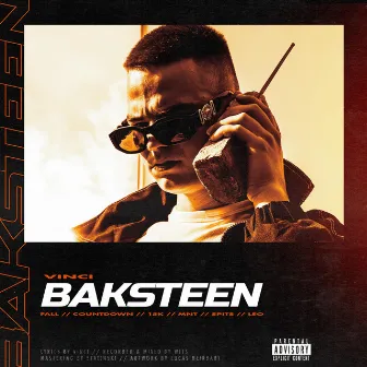 Baksteen by Vinci