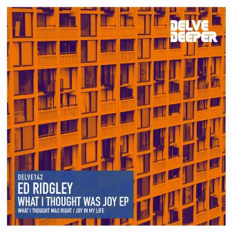 What I Thought Was Joy by Ed Ridgley