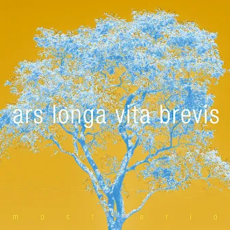 Ars Longa Vita Brevis by Mosterio