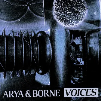 Voices by Arya