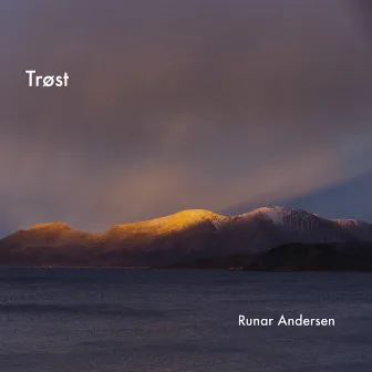 Trøst by Runar Andersen