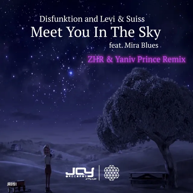 Meet You in the Sky - ZHR & Yaniv Prince Remix