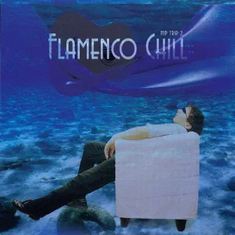 Hip Trip 2: Flamenco Chill by Bob Mitchell