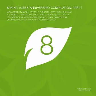 Spring Tube 8th Anniversary Compilation, Pt.1 by Dj SlanG