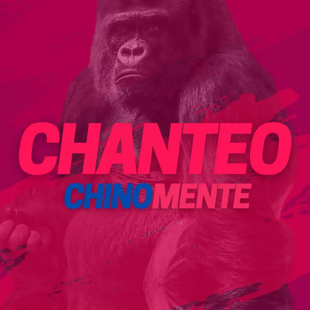 Chanteo