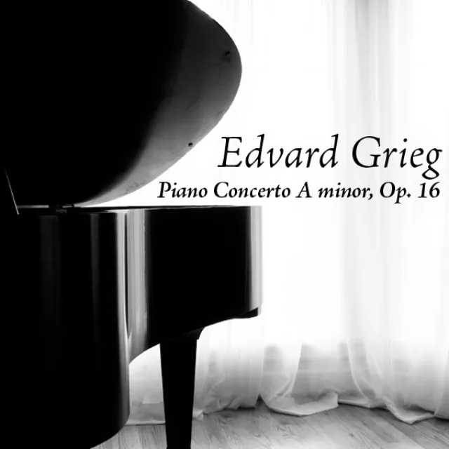 Piano Concerto in A minor, Op. 16: Allegro Molto Moderato