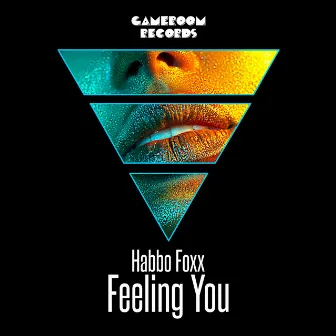 Feeling You by Habbo Foxx