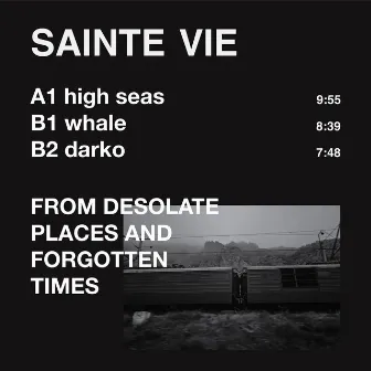 From Desolate Places and Forgotten Times by Sainte Vie