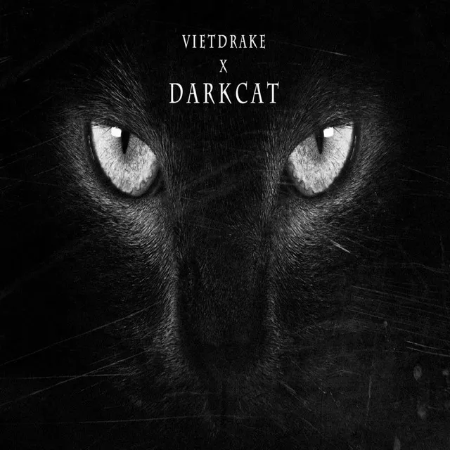 Dark Cat