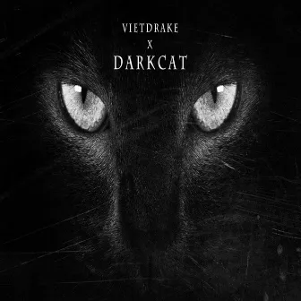 Dark Cat by Vietdrake