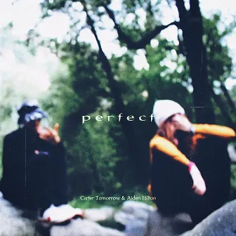 perfect by Aiden Hilton