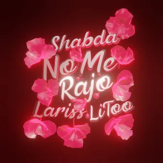 No Me Rajo by Shabda