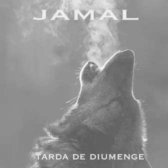 Tarda de Diumenge by Jamal