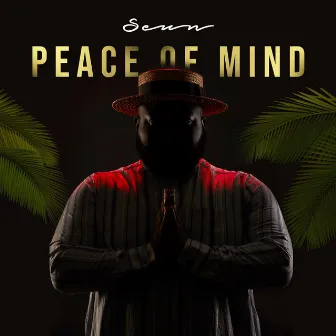 Peace of Mind by Seun