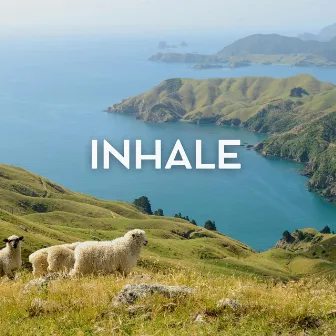 Inhale by Airplane White Noise