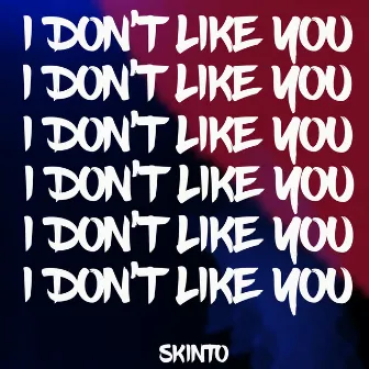 I Don't Like You by Skinto