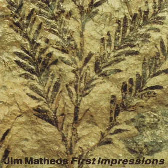 First Impressions by Jim Matheos