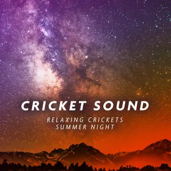 Relaxing Crickets Summer Night - Background Cricket Sounds for Sleep by Cricket Sound