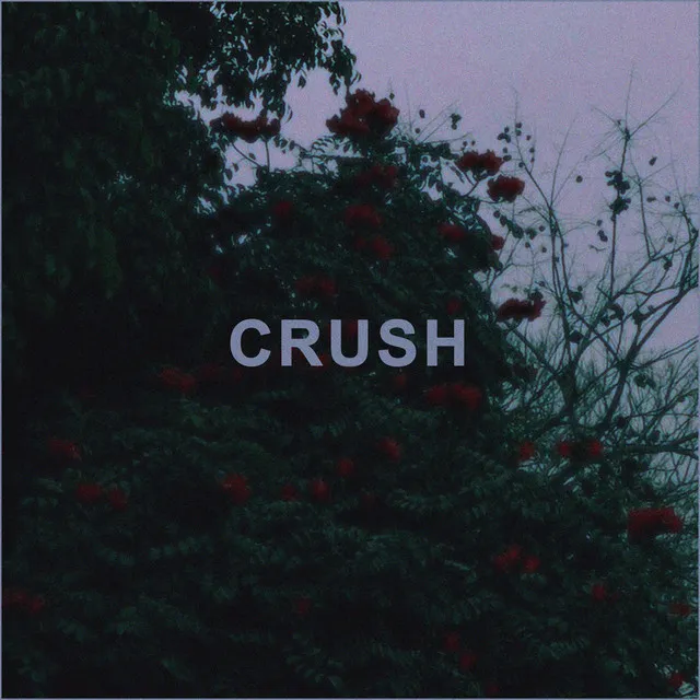 CRUSH